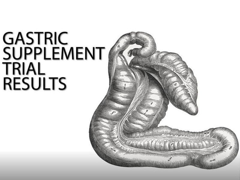 Feedmark's Gastric Supplement Trial - Equine Science Matters™